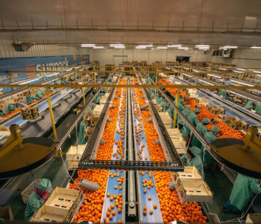 station de conditionnement