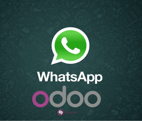 Intégration marketing Whatsapp
